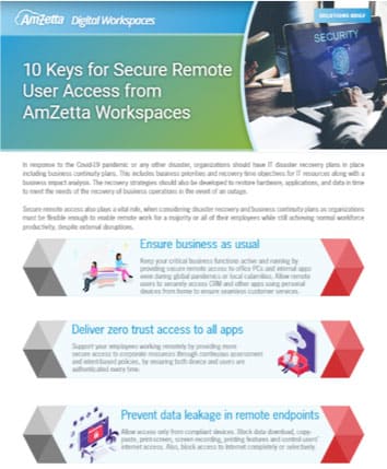 AmZetta 10 Keys to Secure Remote User Access