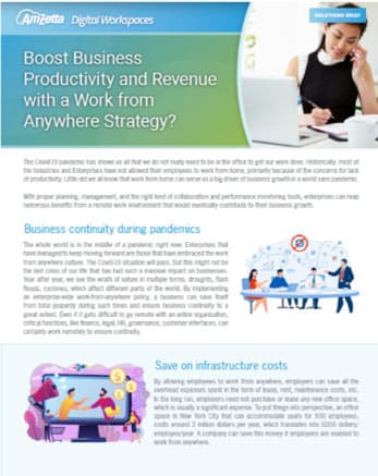 AmZetta Boost Business Productivity and Revenue